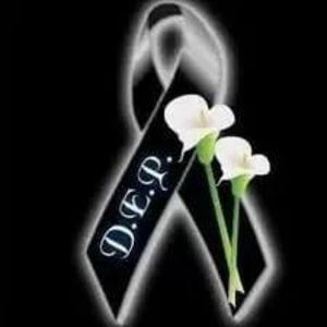 Meet your Posher, Liseth